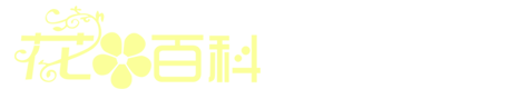 宜宾县金杰装饰工程有限公司